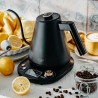 Kettle Adler AD 1349 Black 1100 W 1 L