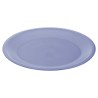 Flat Plate Blue Red Green Plastic (Refurbished B)