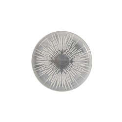 Cake stand Algon Silver 20 x 20 x 1 cm Circular (24 Units)